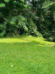 Mount Pleasant Road (D11), Detached #439402531